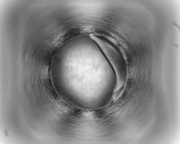 X0000093220560200710241218