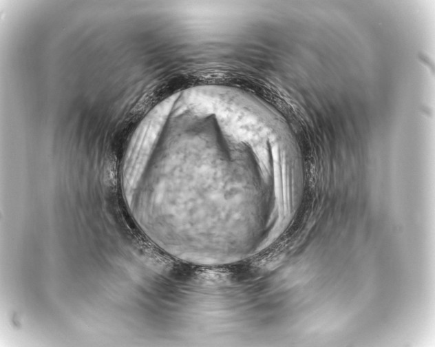 X0000093220561200710241218