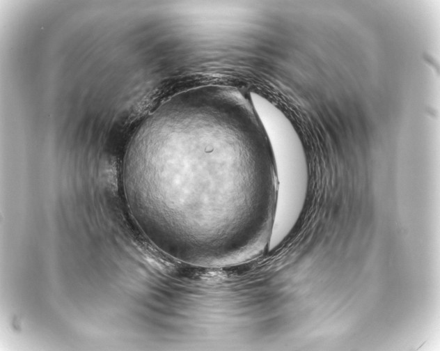 X0000093220562200710241218