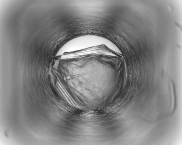 X0000093220563200710241218