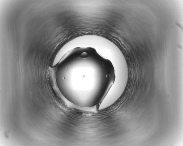 X0000093220564200710241218