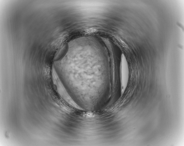 X0000093220565200710241218