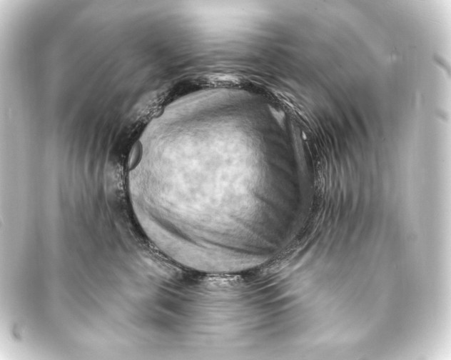 X0000093220571200710241219