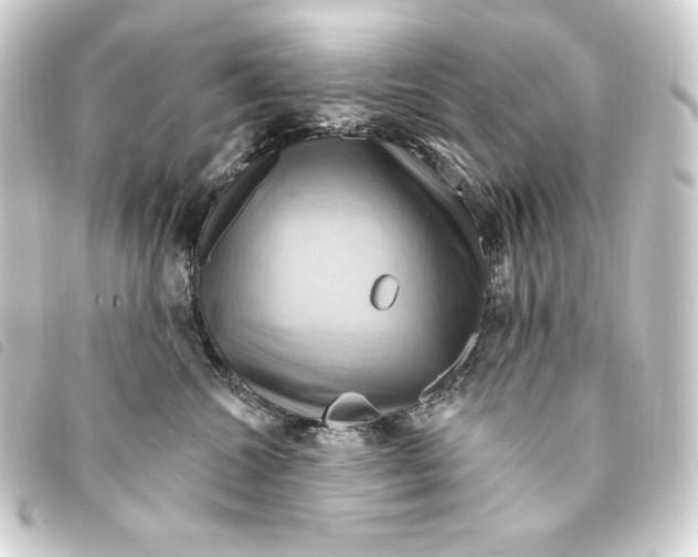 X0000093220572200710241219