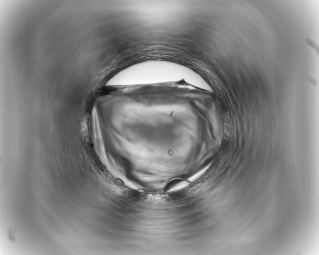 X0000093220573200710241219