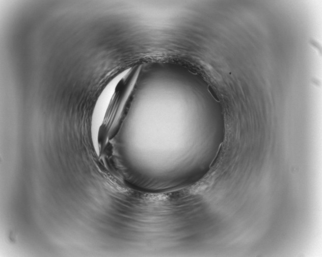 X0000093220576200710241219