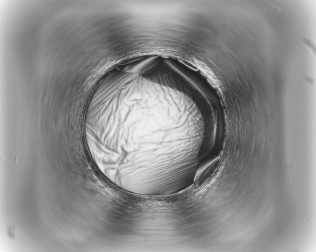 X0000093220577200710241218