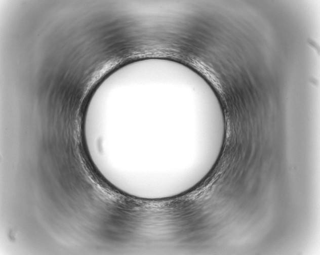 X0000093220578200710241218