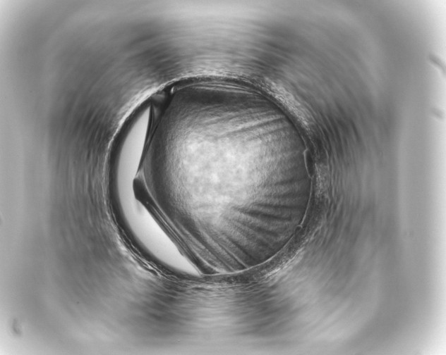 X0000093220580200710241218