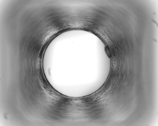 X0000093220583200710241218