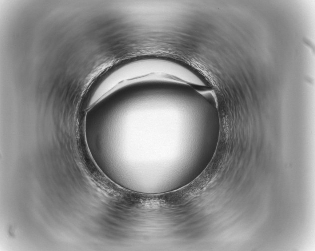 X0000093220587200710241218