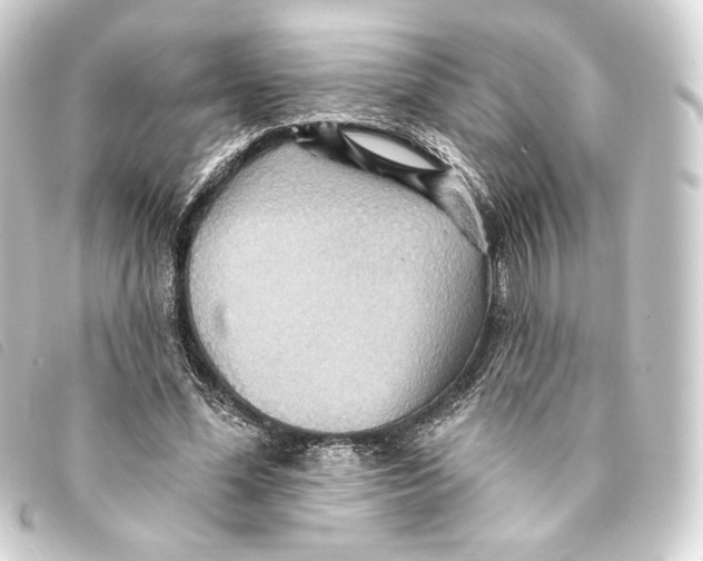 X0000093220588200710241218