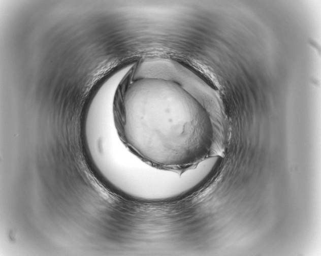 X0000093220589200710241218