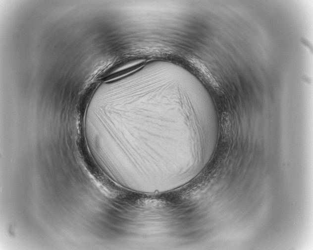 X0000093220590200710241218