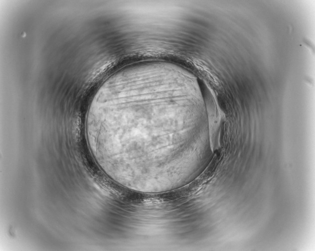 X0000093220591200710241218