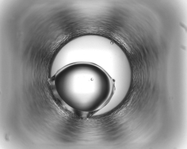 X0000093220593200710241218