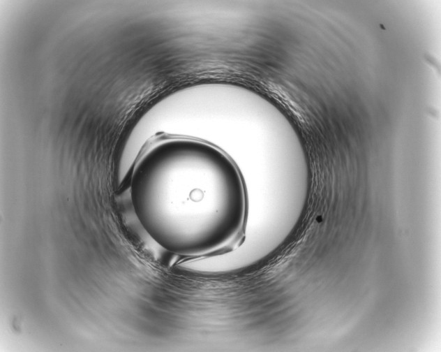 X0000093220597200710241218