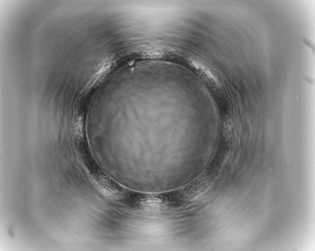 X0000093220598200710241218