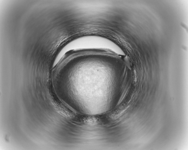 X0000093220600200710241218