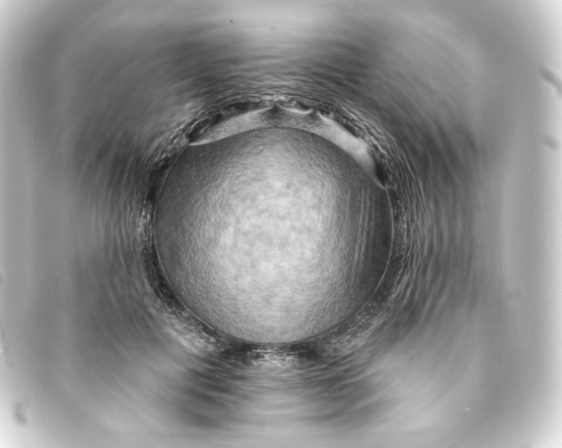 X0000093220601200710241218