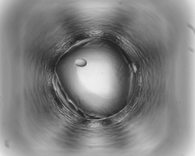 X0000093220604200710241218