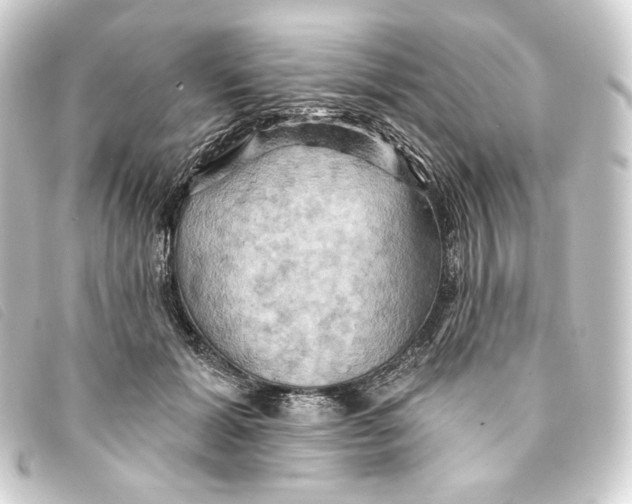 X0000093220605200710241218