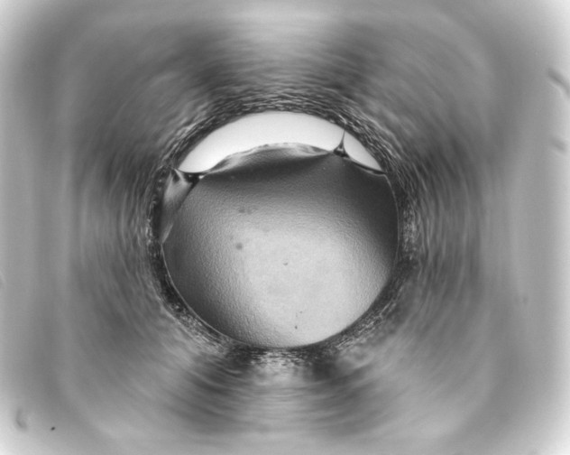 X0000093220608200710241218