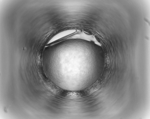 X0000093220611200710241218