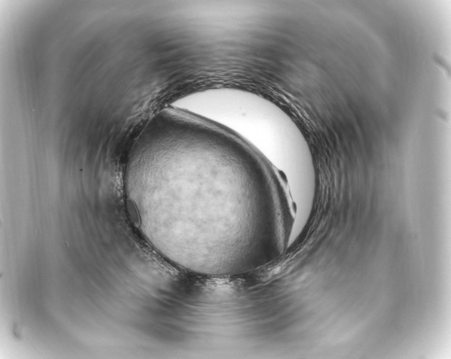 X0000093220613200710241218