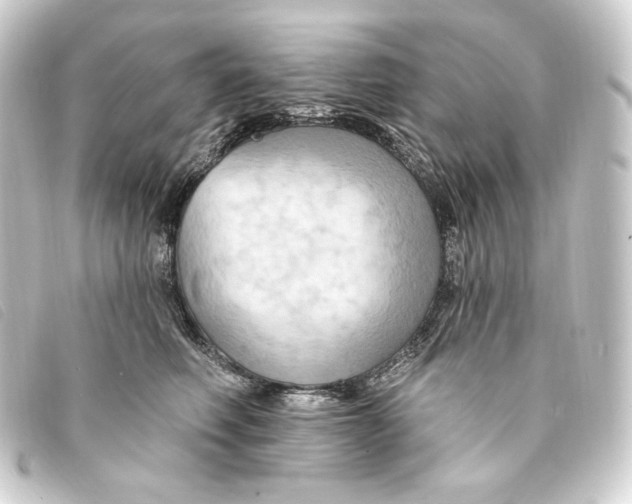 X0000093220614200710241218