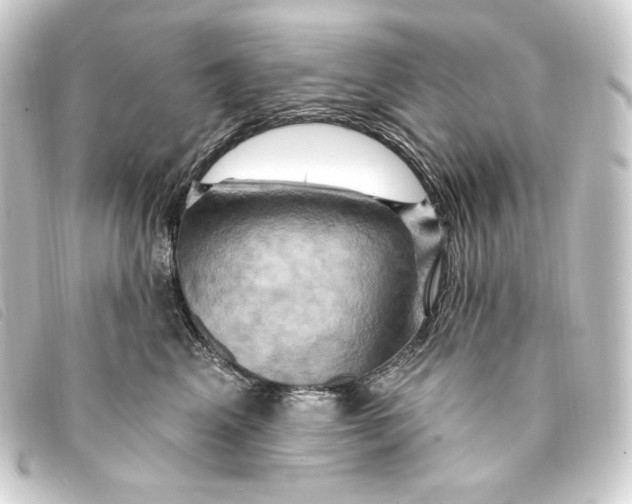 X0000093220617200710241218