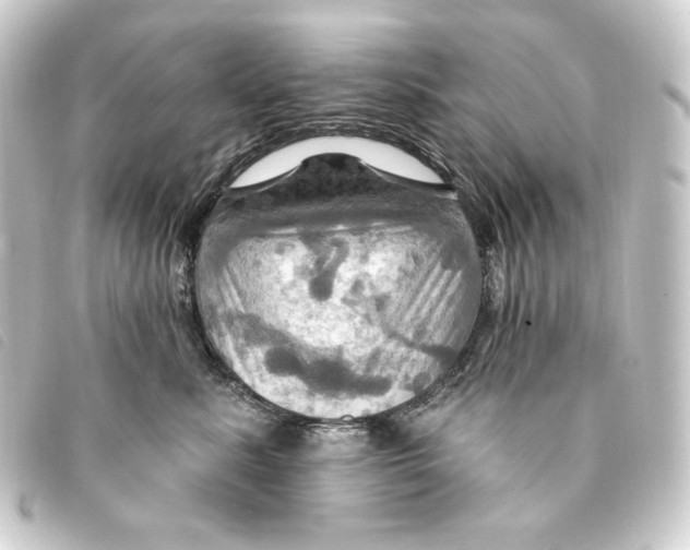 X0000093220619200710241218