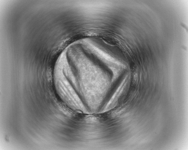 X0000093220620200710241218