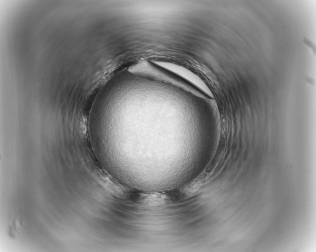 X0000093220621200710241217