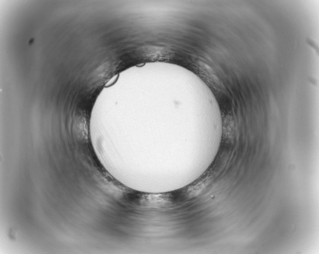 X0000093220622200710241217