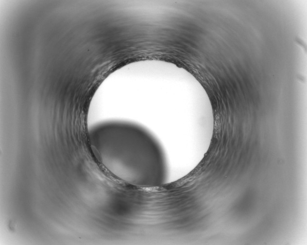 X0000093220623200710241217