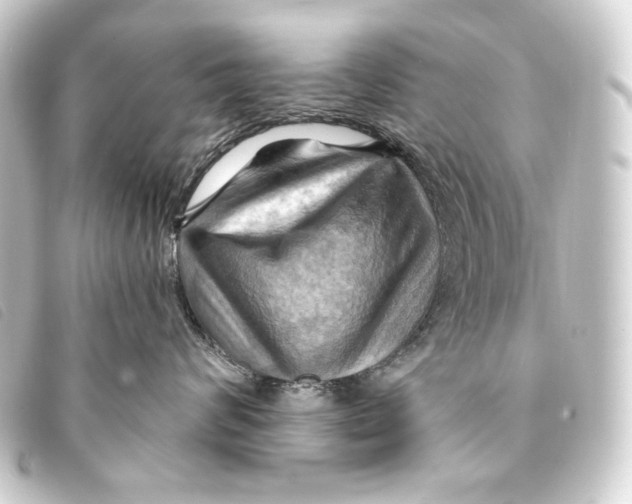 X0000093220624200710241217