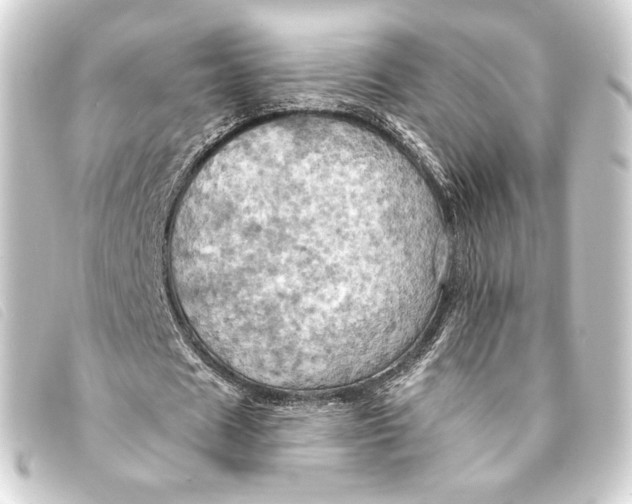 X0000093220625200710241217