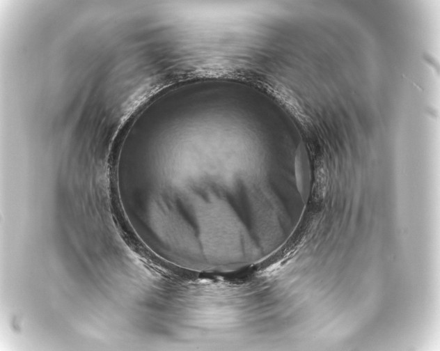 X0000093220626200710241217