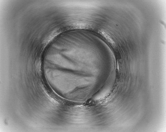 X0000093220627200710241217