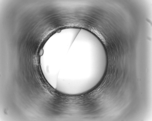 X0000093220628200710241217