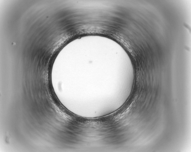 X0000093220629200710241217