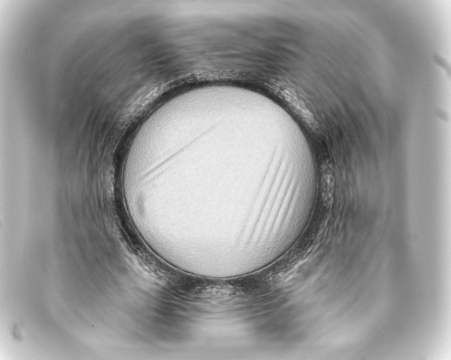 X0000093220631200710241217