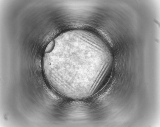 X0000093220633200710241217