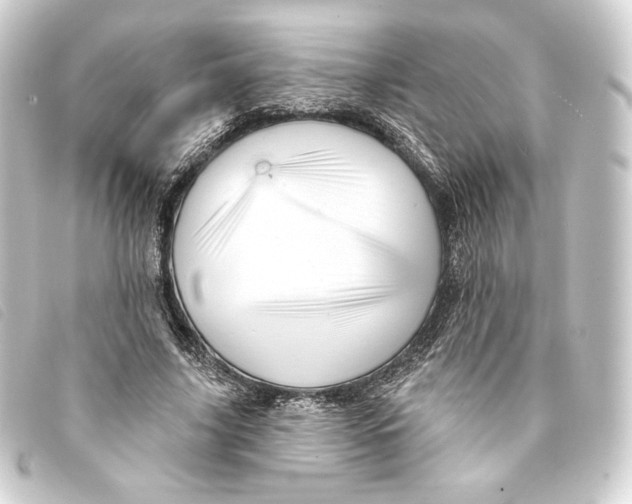 X0000093220635200710241217