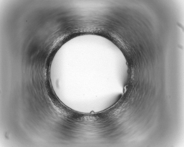 X0000093220636200710241217