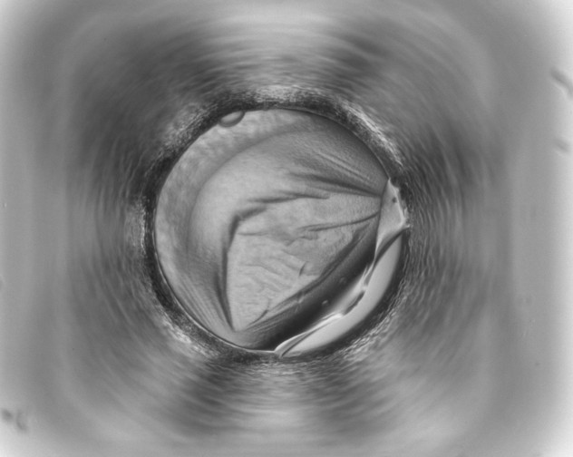 X0000093220637200710241217