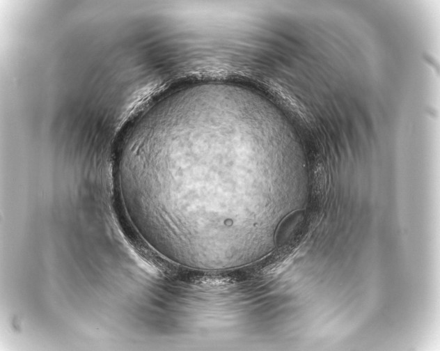 X0000093220638200710241217