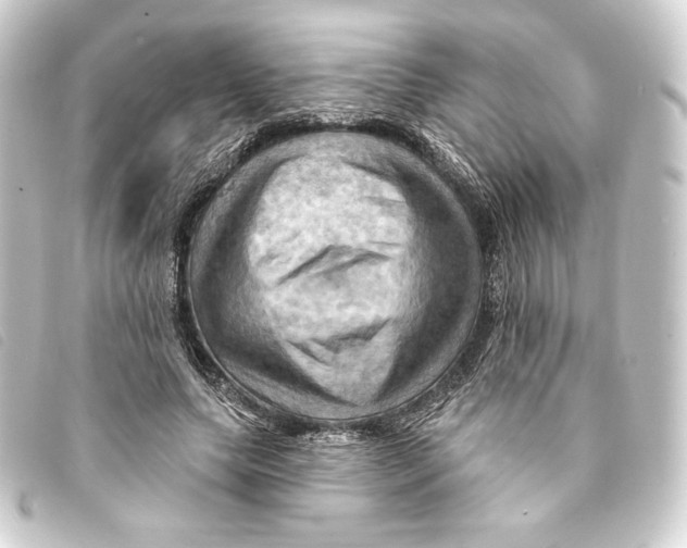 X0000093220639200710241217