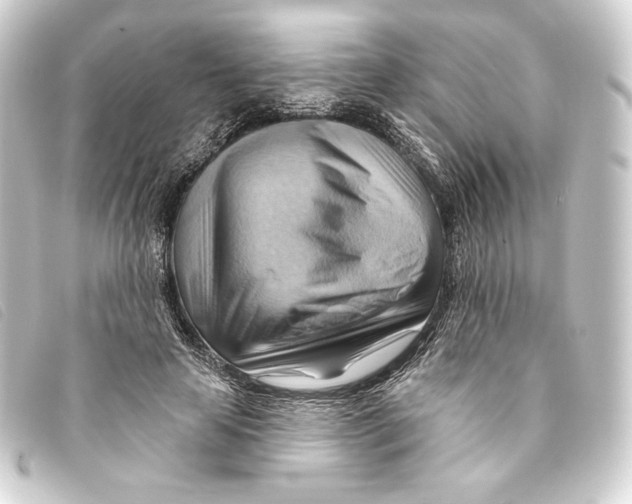 X0000093220641200710241217